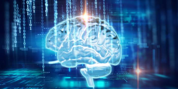 Intelligence Artificielle et Data Science